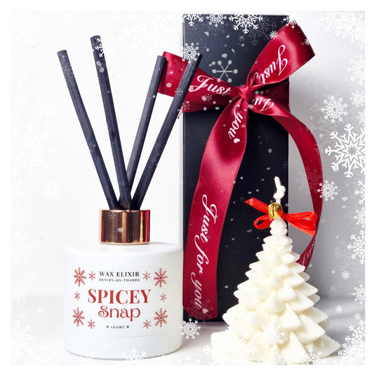 Christmas Reed Diffuser with Ginger and Cinnamon Scent