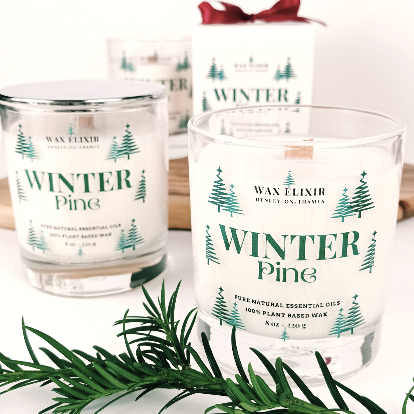 Winter Pine Scented Candle